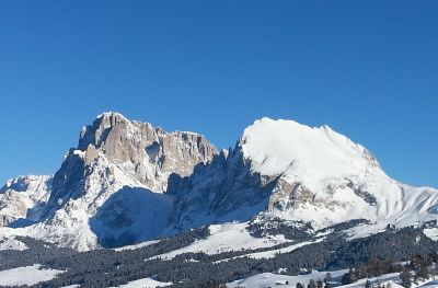 Haus Haselrieder Albert - Feirenwohnung Völs am Schlern - Südtirol
